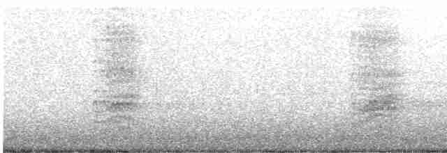 Гіла чорновола - ML619165255