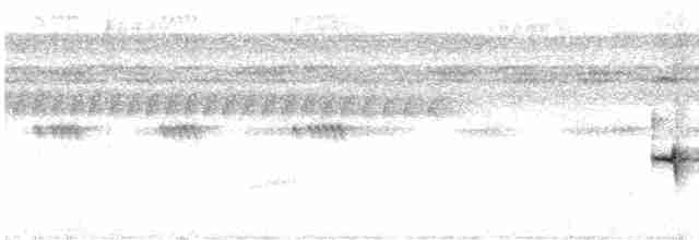 Gelbbrauen-Ameisenschnäpper - ML619165318