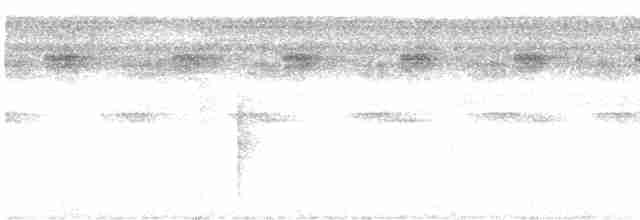 Weißschulter-Ameisenvogel - ML619165396