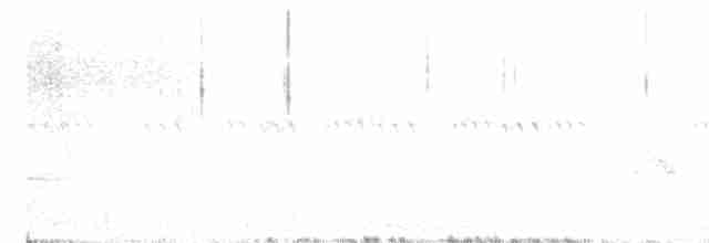 gråsolitærtrost - ML619165402