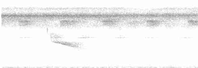 Benek Sırtlı Karıncakuşu - ML619165416