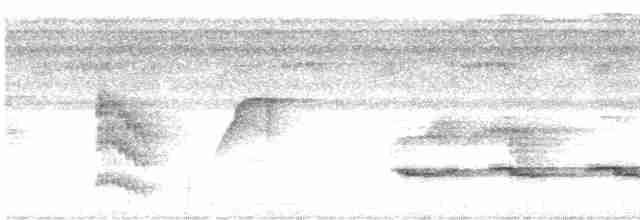 Корайский крапивник - ML619165425