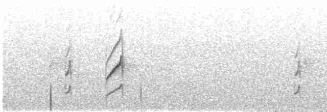 Кордильерская иглохвостка - ML619165573