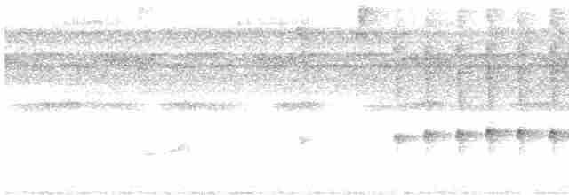 Çift Şeritli Taçlı Tiran - ML619165695