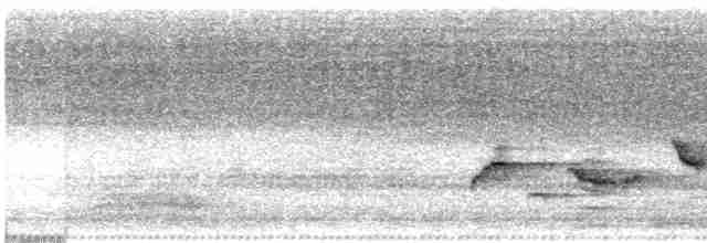 Turuncu Başlı Ardıç - ML619165841