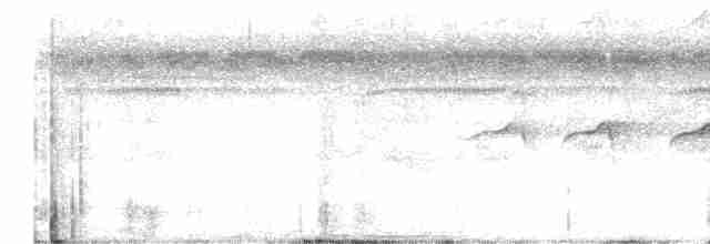 Swallow-tailed Kite - ML619165869