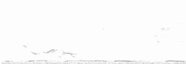 יונת ענק - ML619165909