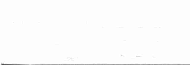 אווזון שחור-בטן - ML619166002