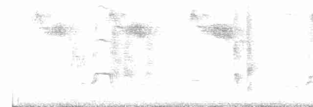 Eurasian Oystercatcher (Western) - ML619166627