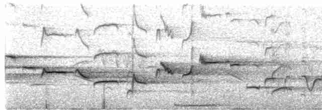 Büyük Islıkçı Bülbülü - ML619167411