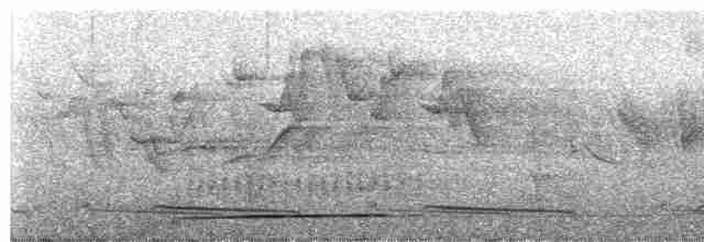 Воротничковая лесная куропатка - ML619167456