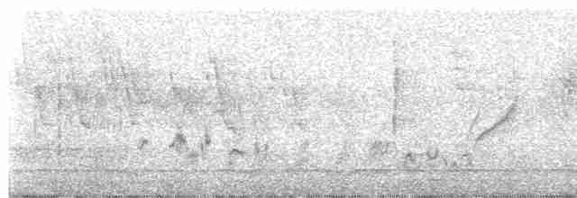 halsbåndfrankolin - ML619167675