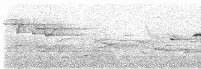 白斑紫嘯鶇 - ML619167687