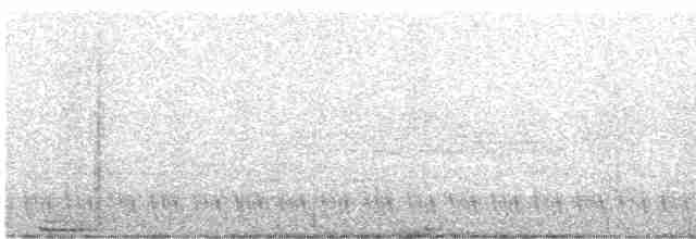 白斑紫嘯鶇 - ML619167693
