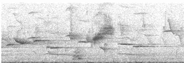 Трав’янка сіра - ML619167696