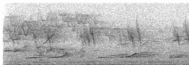 Воротничковая лесная куропатка - ML619167701