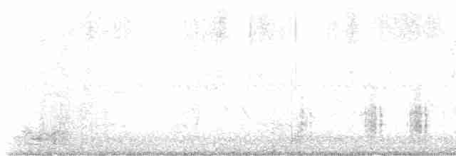 Great Reed Warbler - ML619168042