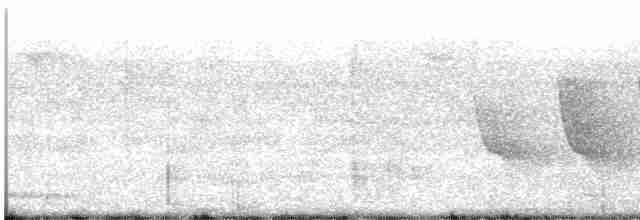 langhaleskredderfugl - ML619168102