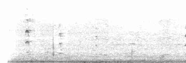 Common Tern - ML619168300
