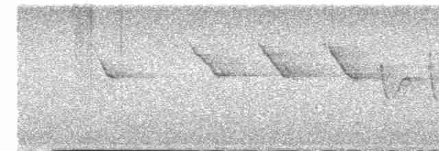 Трясогузковый певун - ML619168305