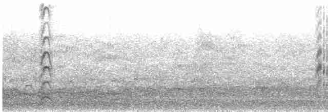 Крячок рябодзьобий (підвид sandvicensis) - ML619168380