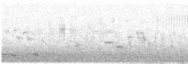 Обыкновенный сверчок - ML619168544