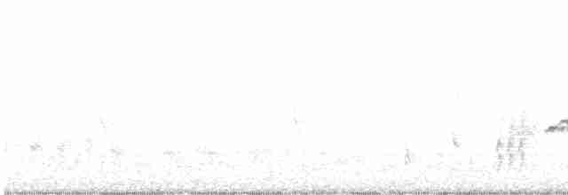 Bülbül (megarhynchos/africana) - ML619168689