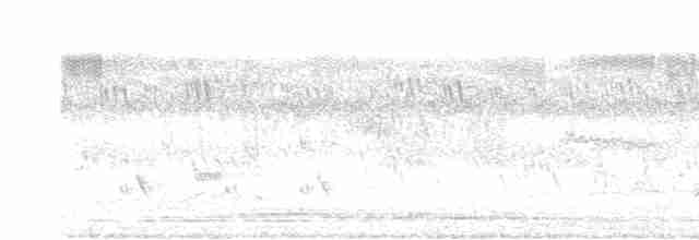 Зозуля білогорла - ML619168728
