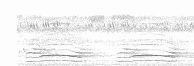 páv korunkatý - ML619168730