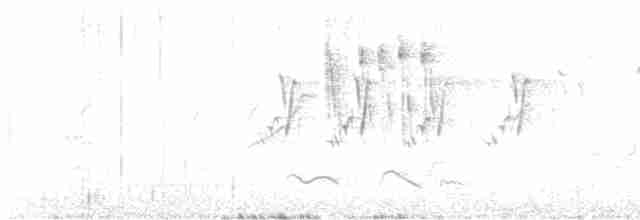 Зозуля білогорла - ML619168744