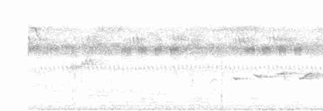 svarthodelarveeter - ML619168747