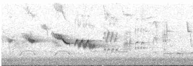 ワキアカツグミ（iliacus） - ML619168808
