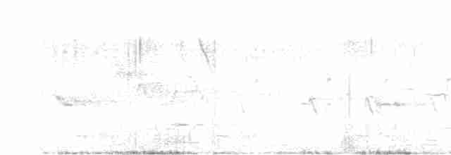 indiahornfugl - ML619168821