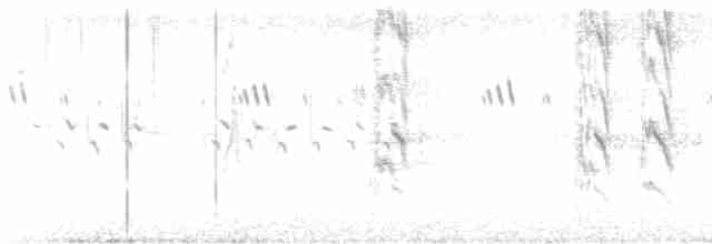 Попугай Крамера - ML619168830