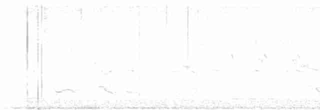 Пестрокрылая йора - ML619168856