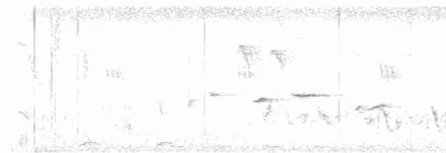 Белогорлая веерохвостка - ML619168861