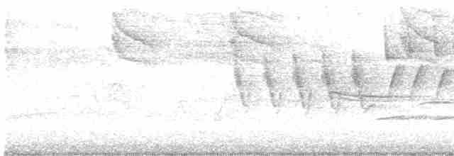 Горихвостковая древесница - ML619169105