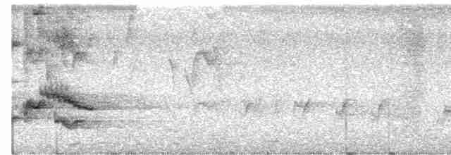 hvitbryntrosteskvett - ML619169520
