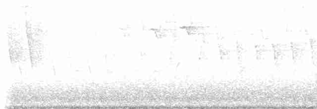 Tennessee Warbler - ML619169904