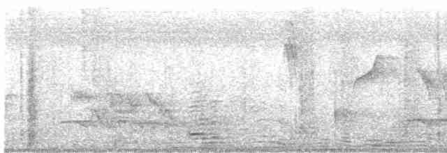 Зозуля білогорла - ML619169992