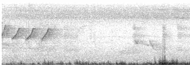 Атласная нектарница - ML619169998