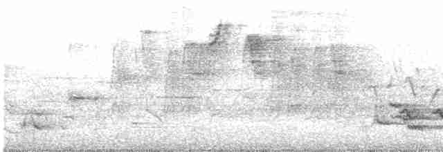 エントツアマツバメ - ML619170267