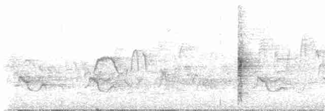 vlhovec červenokřídlý - ML619170291