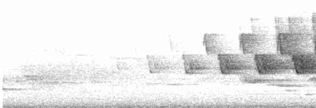 Дроздовый певун - ML619170320