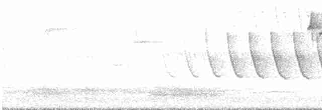 Гаїчка болотяна - ML619170449