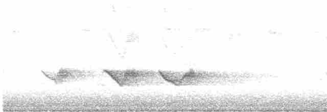 Чернокрылая пиранга - ML619170615