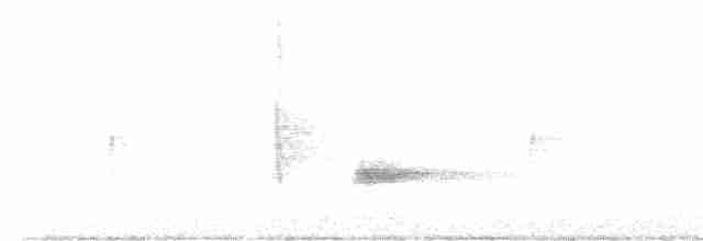 Чернокрылая пиранга - ML619170747