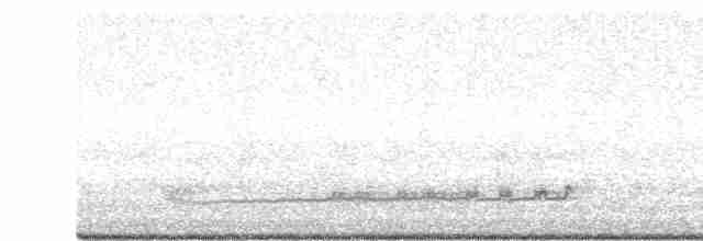 Сипуха крапчаста - ML619170868