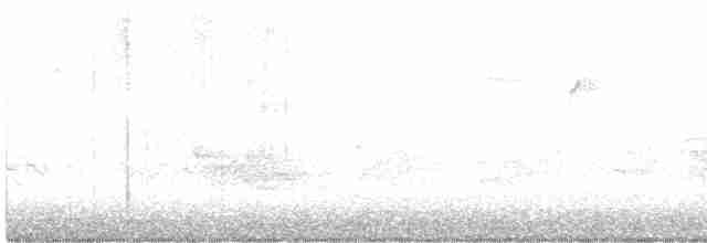 Kara Kanatlı Piranga - ML619170901