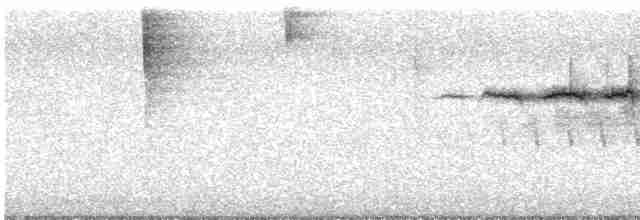 Paruline à gorge noire - ML619171223